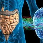 Between Logic And Instinct Better Decisions Begin To Form