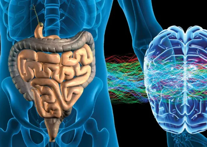 Between Logic And Instinct Better Decisions Begin To Form