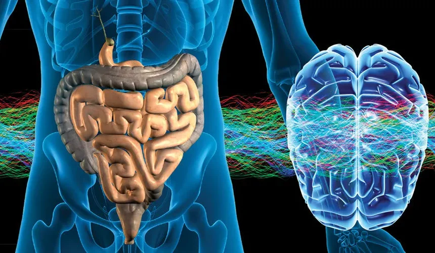 Between Logic And Instinct Better Decisions Begin To Form