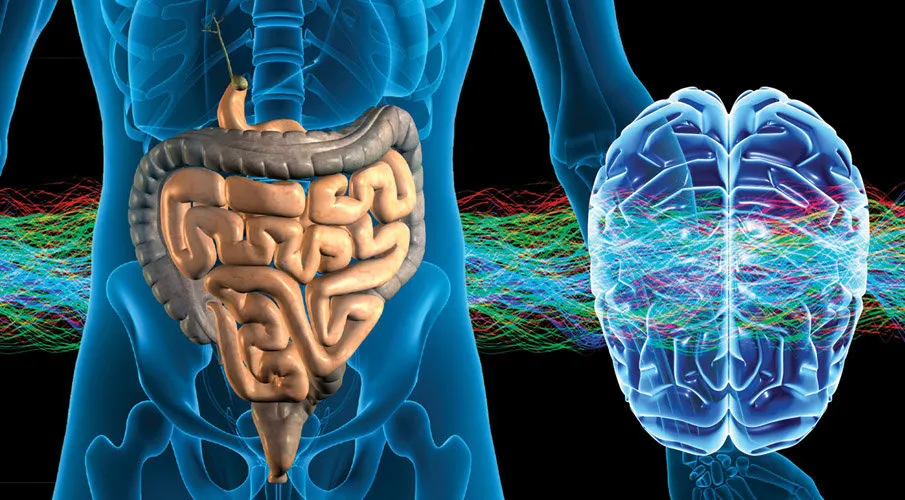 Between Logic And Instinct Better Decisions Begin To Form